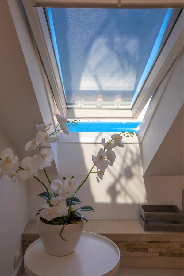 Villa Leda Medvinjak Exterior foto